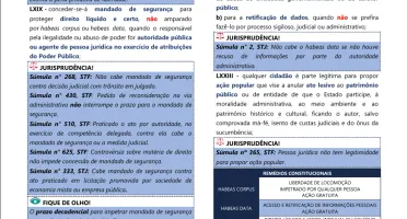 Ebook Vade Mecum Esquematizado
