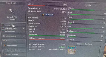 Elder druid lvl 205 ml 78 ser básico descubra