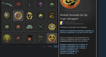Conta Steam 8 Anos Csgo Prime