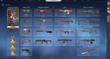 Conta valorant 800+ gastos e lol 500+ gastos ( vinculadas )