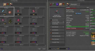 ROYAL PALADIN FULL CHAR LOVE - COM OUTFIT STORE