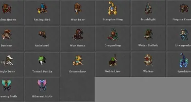 ROYAL PALADIN FULL CHAR LOVE - COM OUTFIT STORE