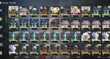 Jinhsi + Arma + Changli + ZheZhi + Verina