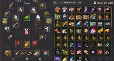 Conta Bdo