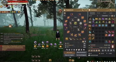 Conta Bdo