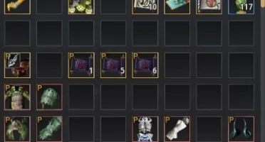 Black desert Mystic 62 1100 EVA