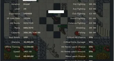 Char Tibia Elite Knight lvl 222 + Druid lvl 34
