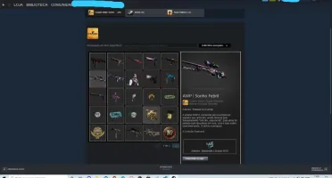 Conta csgo Main