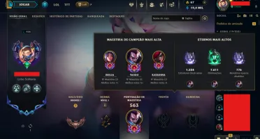 Conta de Lol e Valorant todos os campeoes e operadores
