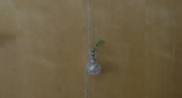 Fio - Vidro Balão - Pequeno