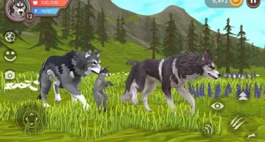 Wildcraft Gemas
