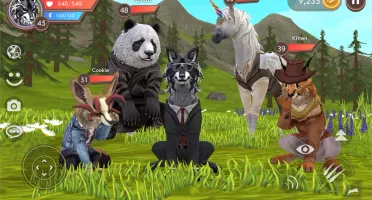 Wildcraft Gemas