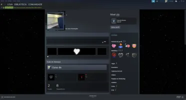 CONTA STEAM ~ NIVEL 205 \\ 12 ANOS DE SERVIÇO