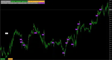 Hamster Scalping EA - Forex Expert Advisor Automatico