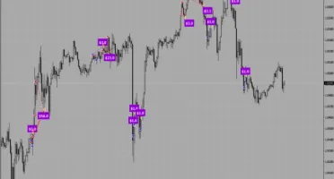Hamster Scalping EA - Forex Expert Advisor Automatico