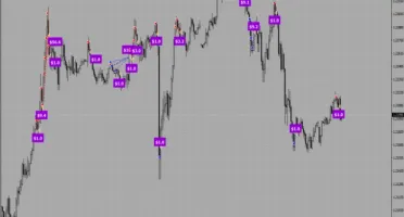 Hamster Scalping EA - Forex Expert Advisor Automatico