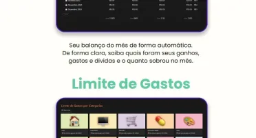 Planilha Meu Dinheiro Organizado Promoção !!