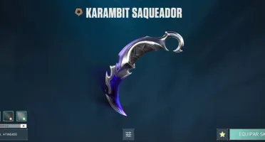 conta valorant com varias skins