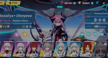 Conta de Honkai level 73