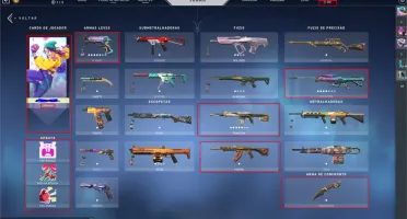 Conta Valorant 1200 Reais em skins por 900