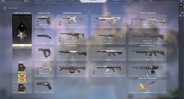Vendo Conta Valorant com muitas skins