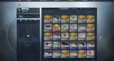 Conta CSGO AK Cruzada - Prime