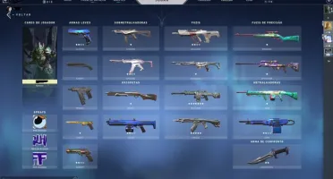 Conta Valorant|Algumas skins |Elo: Ouro 2 |Todos os agentes