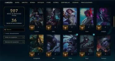 Mestre com 65 Champs e 18 Skins ( 138 PDL )