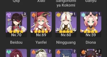 Cyno+Kokomi+Ganyu+Raiden+Xiao