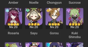 Cyno+Kokomi+Ganyu+Raiden+Xiao