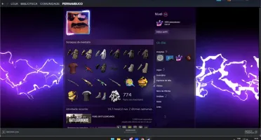 Steam PUBG, inúmeras skins raras!
