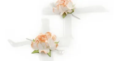 Alfinete Bicolor Rosas - Pacote com 10 Unidades