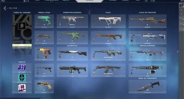 Conta VALORANT BETA FULL SKINS