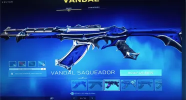conta com 600 reais em skins plati 2