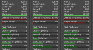 PACERA PALADIN 144
