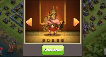 cv 13 recente