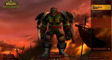CONTA DE WOW TBC GUERREIRO LEVEL 60 SERVIDOR FAERLINA