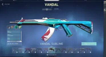 Conta Valorant - SKIN FACA DE 200 REAIS & SKIN VANDALL
