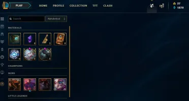 Conta Platina 1 main suporte