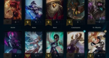 Conta Platina 1 main suporte