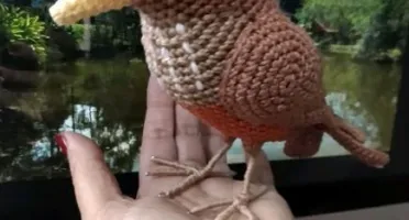 Amigurumi Sabiá
