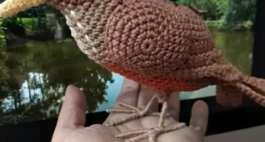 Amigurumi Sabiá