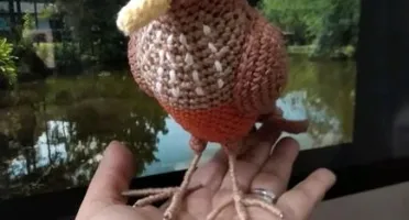 Amigurumi Sabiá