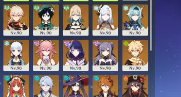 AR 60 Raiden C2 + Bis, Ayaka + Bis, artefatos top.