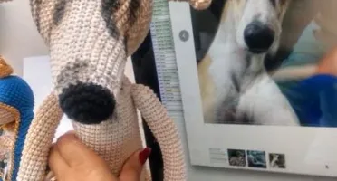 Cachorrinho Galgo ou Wippet