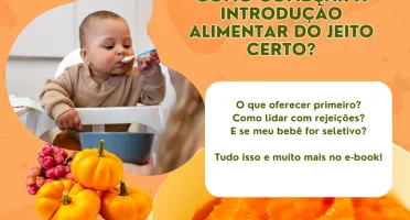 Ebook Primeiros Sabores (Introdução Alimentar Para Bebes)