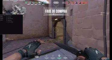 VALORANT ESP-AIMBOT (DIARIO)