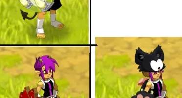 Conta Dofus - Spiritia