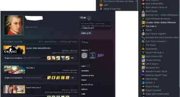 Conta Steam - Varios Jogos - CSGO AGUIA 2