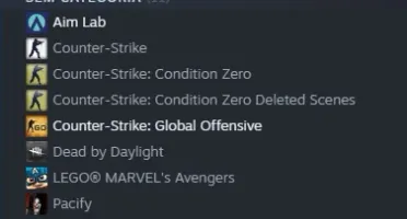 CSGO PRIME GLOBAL, LVL 19 GC E 5 FACEIT
